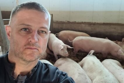 Élevage : RAPHAËL THIÉBAUX dévoile les 3 intérêts de l’insémination artificielle porcine